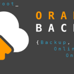 orange backup