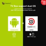 GT King Beelink Dual boot