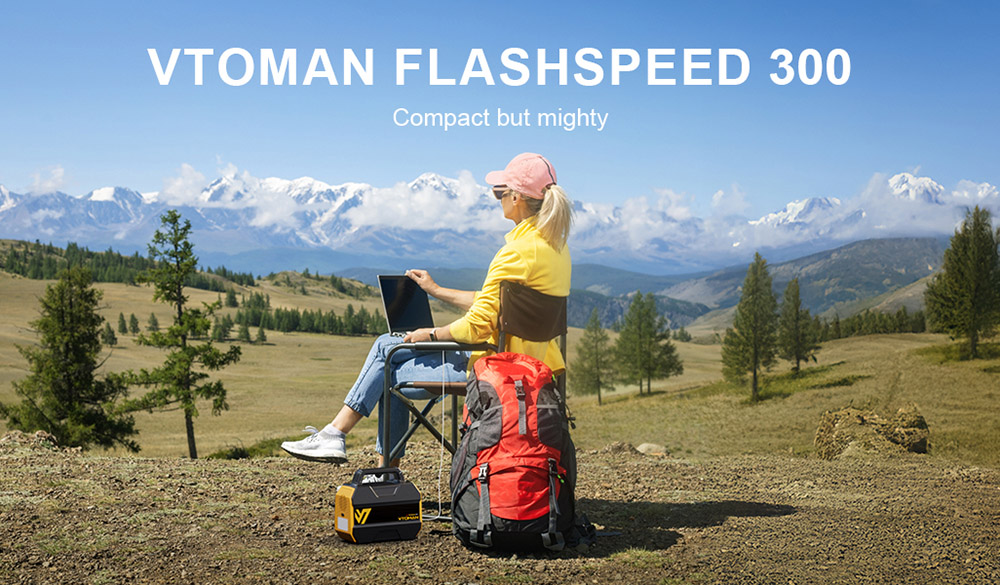 VTOMAN FlashSpeed 300 ports and display