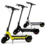 WQ S9 Plus Electric Scooter 800W Motor