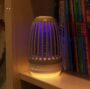 LyRay 2 in 1 Mosquito Killer Lamp Night Light Type-C