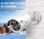 Hiseeu HB615 H.265 5MP Security IP Camera