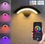 9W Arc Shape Tuya WiFi Wall Light