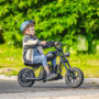 HYPER GOGO Challenger 12 Electric Dirt Bike 21.9V 5.2Ah Battery 24V 160W Motor Top Speed 16KM or H 12inch Tires...
