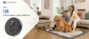 Proscenic Q8 Robot Vacuum Cleaner