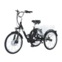 GOGOBEST GF100 Electric Tricycle 36V 15AH Battery 250W Motor Recommended Top Speed 25KM or H 24inch 40 50KM Max Mileage...