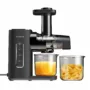 Blitzhome Cold Press Juicer machines 2-Speed Modes Slow Masticating Juicer for Vegetable and Fruits