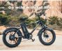 SAMEBIKE XWC05 13Ah 48V 750W 20*4.0 Inches Electric Bike Smart Bike 60-80km Mileage