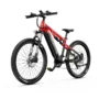 DUOTTS E29 13.5Ah 48V Electric Bike