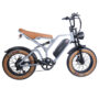 EUENI FXH009 Pro Electric Bike 20x4.0 inch Fat Tire 750W Motor