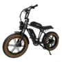 PVY X20 Electric Bike 48V 15Ah+15Ah Dual Batteries