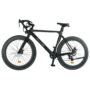 GOGOBEST R2 48V 9.6AH 250W 20*4.0inch Electric Bicycle Oil Brakes 50-80KM Mileage 100KG Max Load Electric Bike