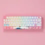 [New Version] AKKO 3061S Tokyo R2 Mechanical Keyboard 61 Keys Wired Hot Swappable Gateron Prelubricate Switch