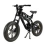 KUGOO T01 Electric Bicycle 48V 500W Motor 13Ah Battery 20*4.0 Inch Fat Tires